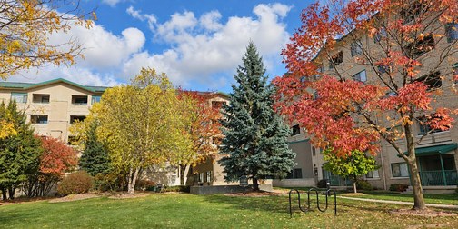 Courtyard with bike rack and spruce trees, Richmond Terrace